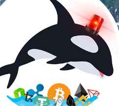 Whale Alert