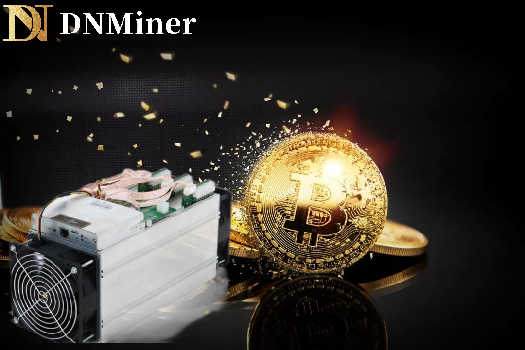 DN Miner
